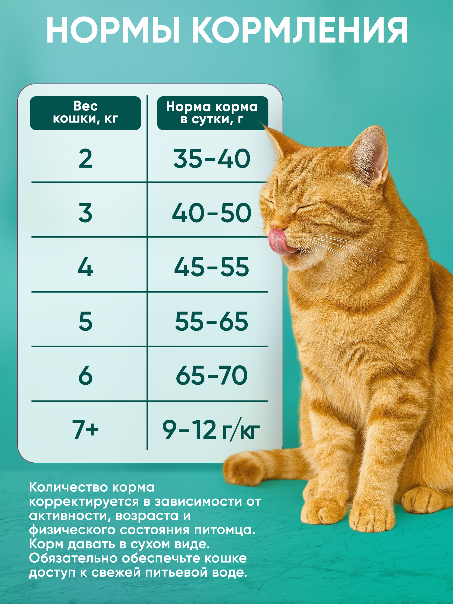 Корм для кошек PILLOW mix cat
